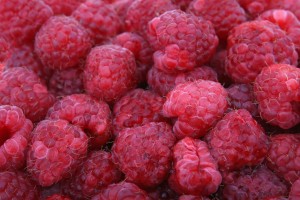 Fresh red berry fruit