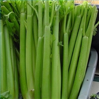 Surplus celery for a sweet salad