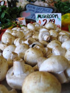 mushrooms31